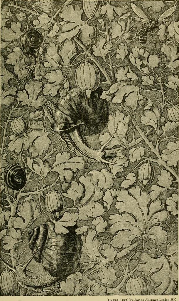 An illustration from Nature in ornament; an enquiry into the natural element in ornamental design & a survey of the ornamental treatment of natural forms, 1902, leaf 416