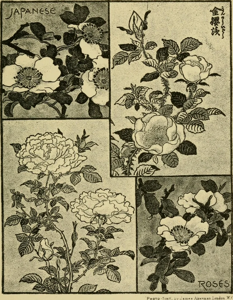 An illustration from Nature in ornament; an enquiry into the natural element in ornamental design & a survey of the ornamental treatment of natural forms, 1902, leaf 44