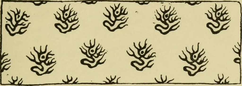 An illustration from Nature in ornament; an enquiry into the natural element in ornamental design & a survey of the ornamental treatment of natural forms, 1902, leaf 462