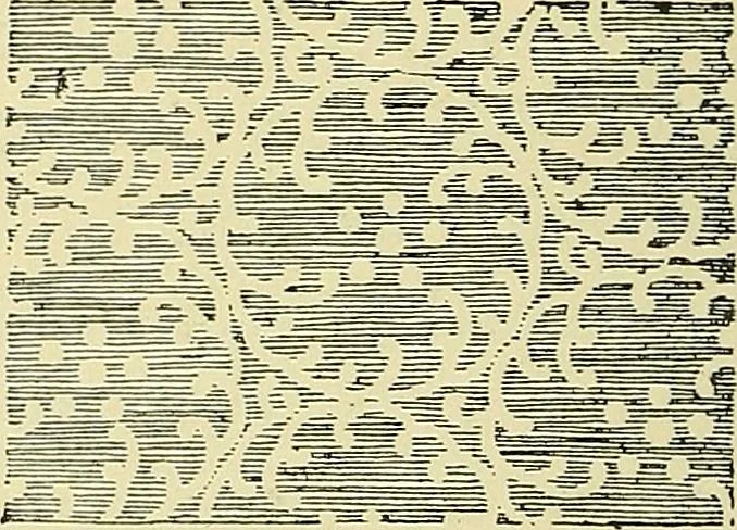 An illustration from Nature in ornament; an enquiry into the natural element in ornamental design & a survey of the ornamental treatment of natural forms, 1902, leaf 463