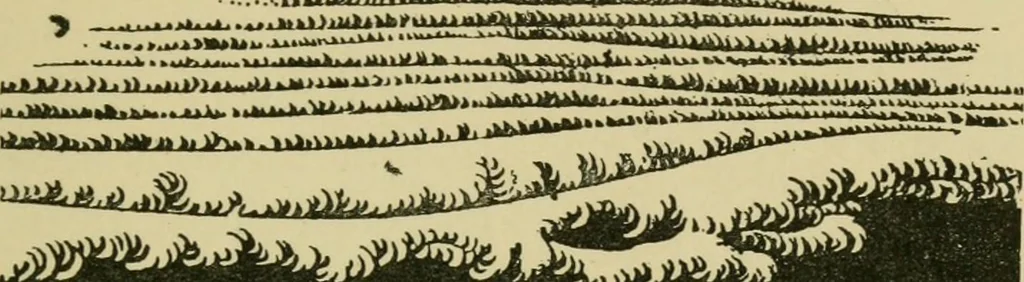 An illustration from Nature in ornament; an enquiry into the natural element in ornamental design & a survey of the ornamental treatment of natural forms, 1902, leaf 472