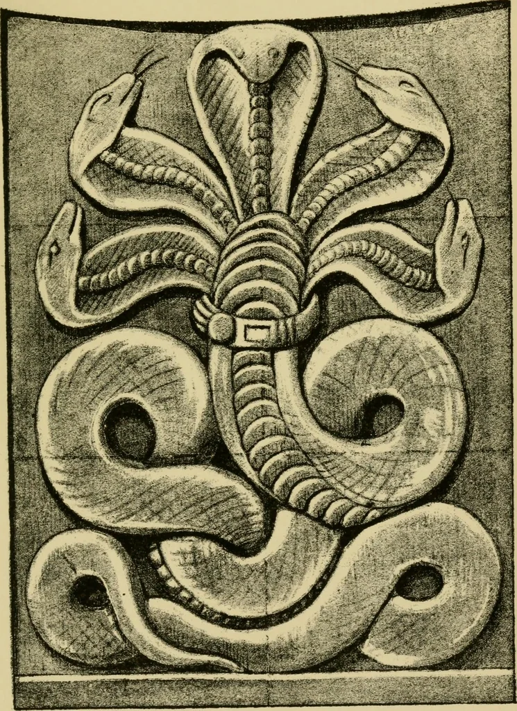 An illustration from Nature in ornament; an enquiry into the natural element in ornamental design & a survey of the ornamental treatment of natural forms, 1902, leaf 502