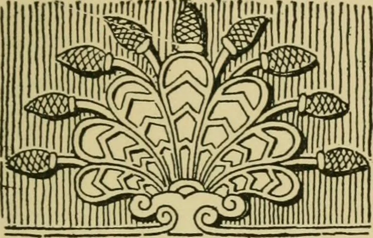 An illustration from Nature in ornament; an enquiry into the natural element in ornamental design & a survey of the ornamental treatment of natural forms, 1902, leaf 508