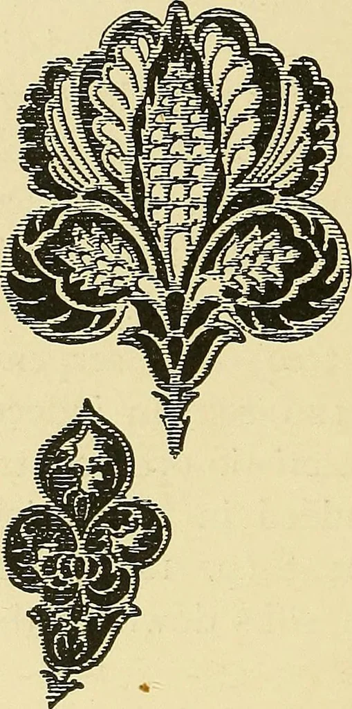 An illustration from Nature in ornament; an enquiry into the natural element in ornamental design & a survey of the ornamental treatment of natural forms, 1902, leaf 509