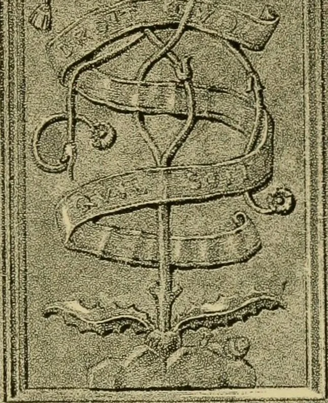 An illustration from Nature in ornament; an enquiry into the natural element in ornamental design & a survey of the ornamental treatment of natural forms, 1902, leaf 514