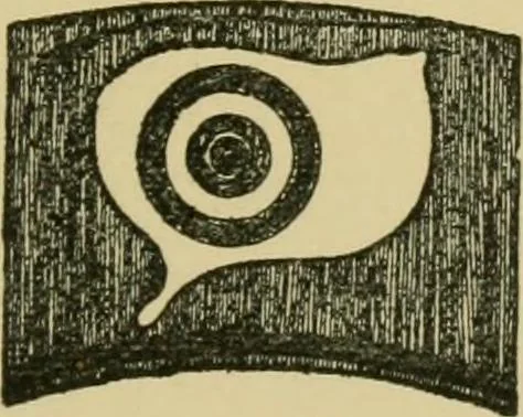 An illustration from Nature in ornament; an enquiry into the natural element in ornamental design & a survey of the ornamental treatment of natural forms, 1902, leaf 516