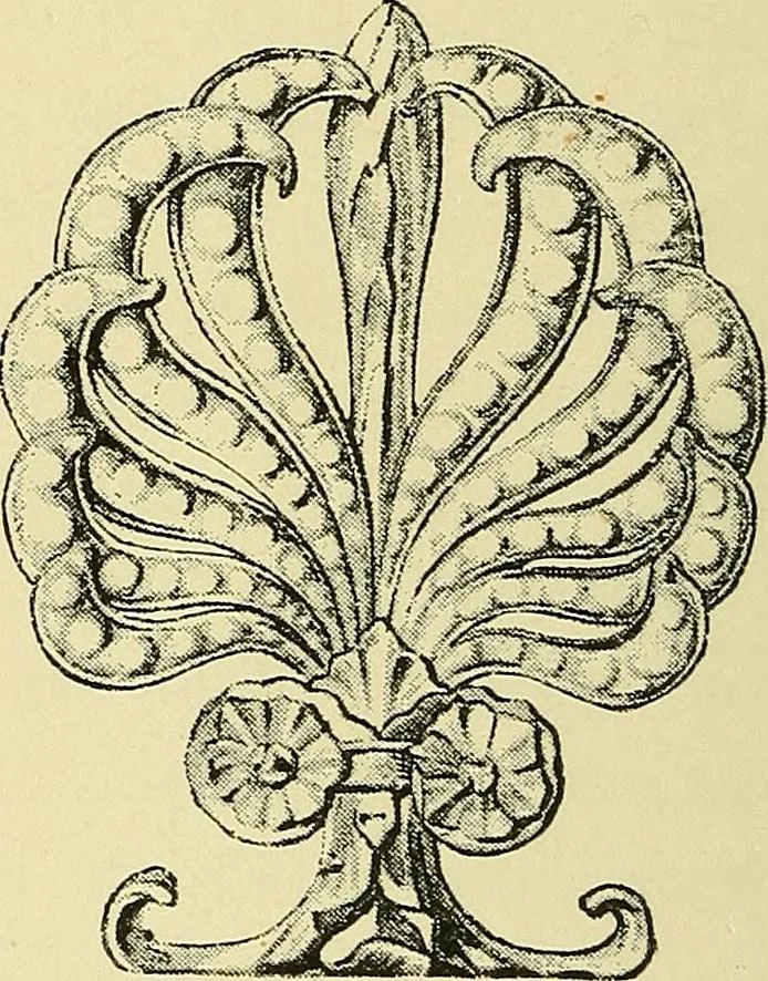An illustration from Nature in ornament; an enquiry into the natural element in ornamental design & a survey of the ornamental treatment of natural forms, 1902, leaf 57