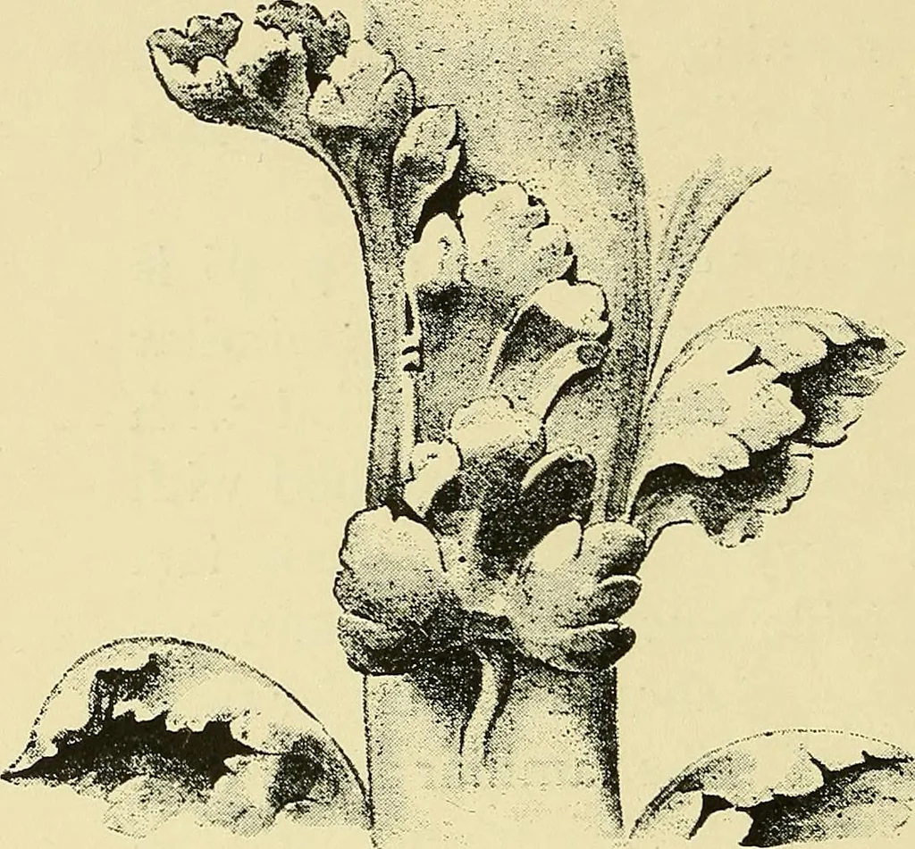 An illustration from Nature in ornament; an enquiry into the natural element in ornamental design & a survey of the ornamental treatment of natural forms, 1902, leaf 97