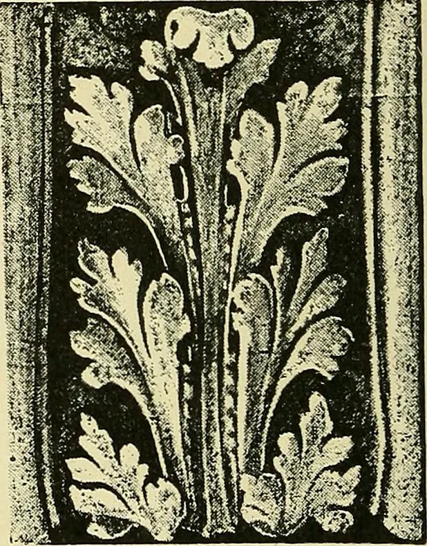 An illustration from Nature in ornament; an enquiry into the natural element in ornamental design & a survey of the ornamental treatment of natural forms, 1902, leaf 97