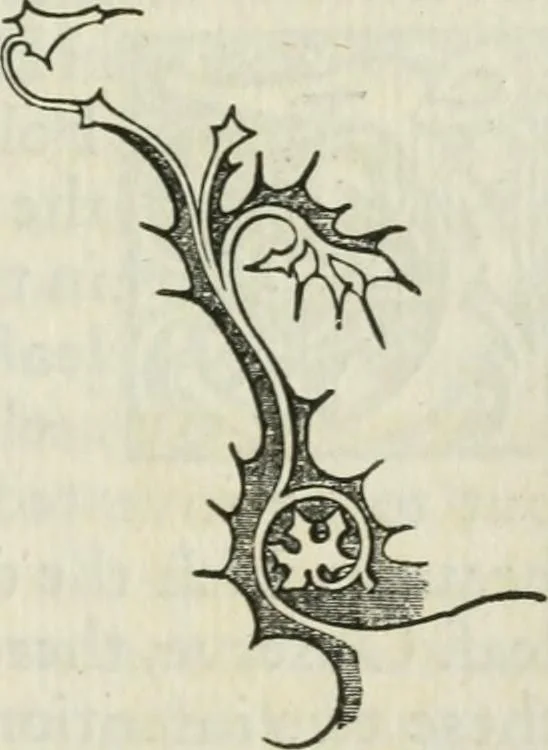 An illustration from The nature of Gothic : a chapter of The stones of Venice, 1892, leaf 118