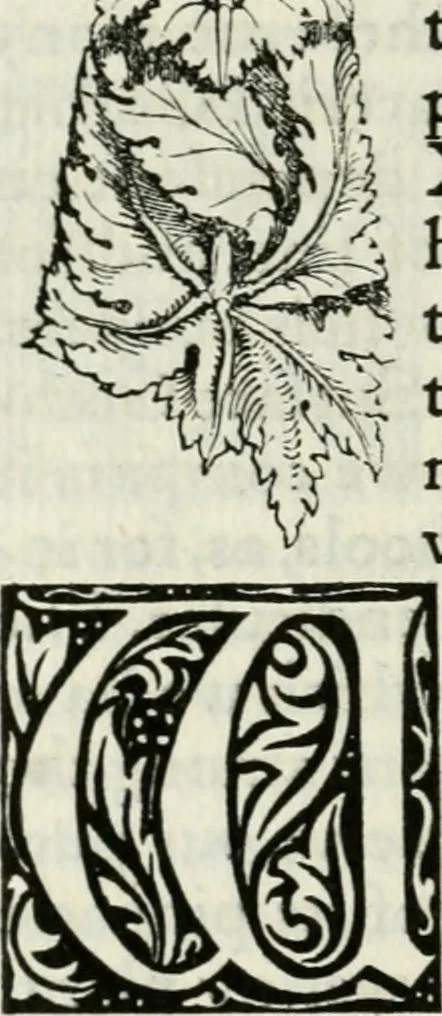 An illustration from The nature of Gothic : a chapter of The stones of Venice, 1892, leaf 131