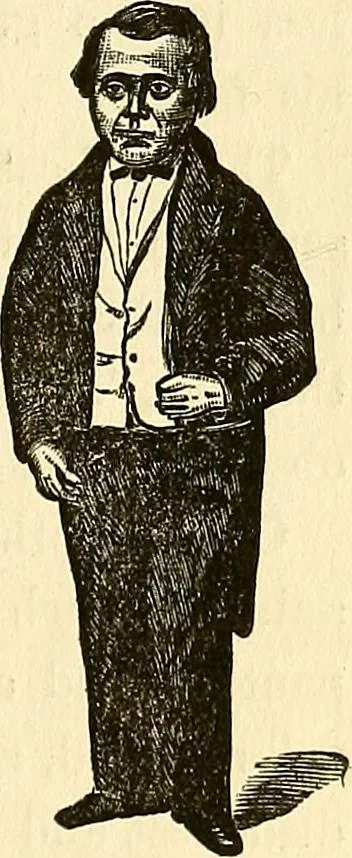 An illustration from Nature's revelations of character; or, physiognomy illustrated. A description of the mental, moral and volitive dispositions of mankind, as manifested in the human form and countenance, 1879, leaf 106