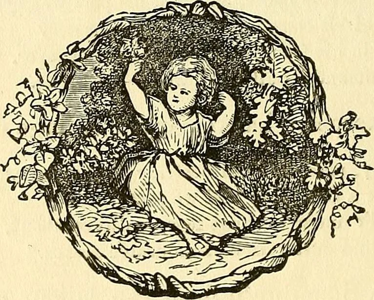 An illustration from Nature's revelations of character; or, physiognomy illustrated. A description of the mental, moral and volitive dispositions of mankind, as manifested in the human form and countenance, 1879, leaf 111