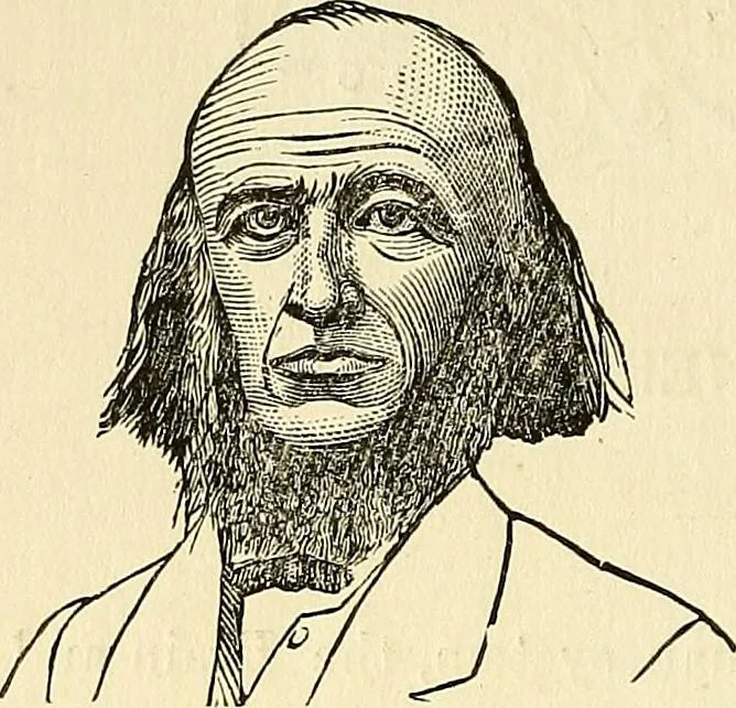 An illustration from Nature's revelations of character; or, physiognomy illustrated. A description of the mental, moral and volitive dispositions of mankind, as manifested in the human form and countenance, 1879, leaf 113
