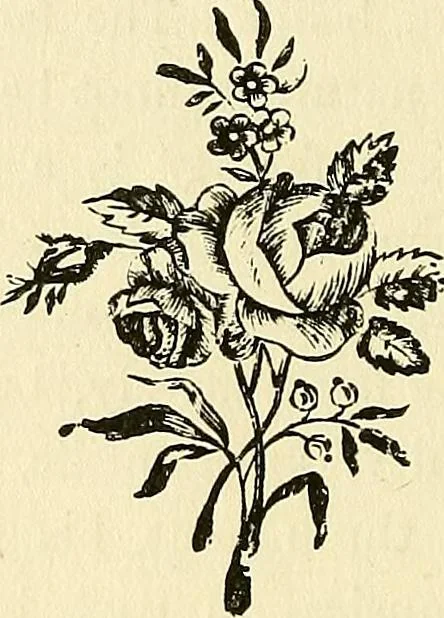 An illustration from Nature's revelations of character; or, physiognomy illustrated. A description of the mental, moral and volitive dispositions of mankind, as manifested in the human form and countenance, 1879, leaf 131