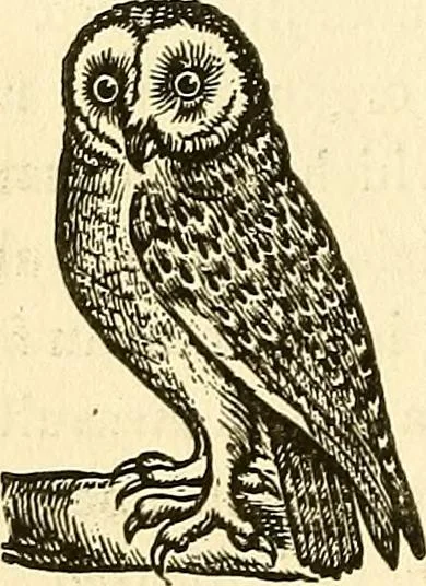 An illustration from Nature's revelations of character; or, physiognomy illustrated. A description of the mental, moral and volitive dispositions of mankind, as manifested in the human form and countenance, 1879, leaf 169