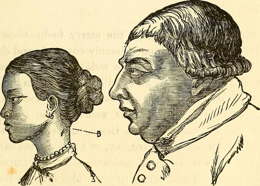 An illustration from Nature's revelations of character; or, physiognomy illustrated. A description of the mental, moral and volitive dispositions of mankind, as manifested in the human form and countenance, 1879, leaf 188