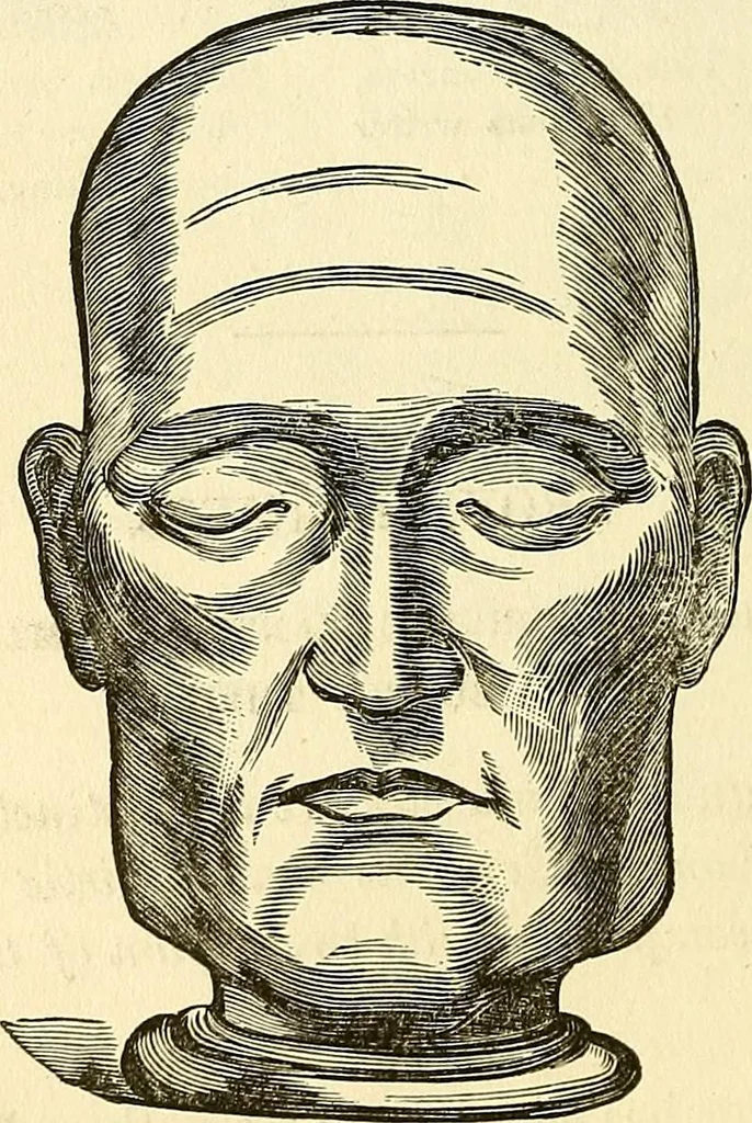An illustration from Nature's revelations of character; or, physiognomy illustrated. A description of the mental, moral and volitive dispositions of mankind, as manifested in the human form and countenance, 1879, leaf 191