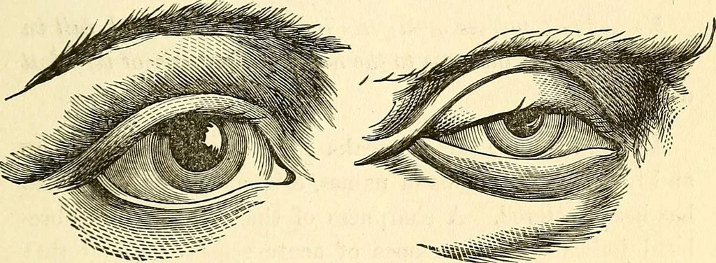 An illustration from Nature's revelations of character; or, physiognomy illustrated. A description of the mental, moral and volitive dispositions of mankind, as manifested in the human form and countenance, 1879, leaf 192