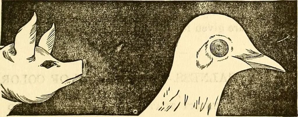 An illustration from Nature's revelations of character; or, physiognomy illustrated. A description of the mental, moral and volitive dispositions of mankind, as manifested in the human form and countenance, 1879, leaf 192