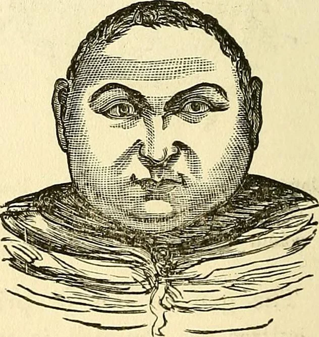 An illustration from Nature's revelations of character; or, physiognomy illustrated. A description of the mental, moral and volitive dispositions of mankind, as manifested in the human form and countenance, 1879, leaf 195