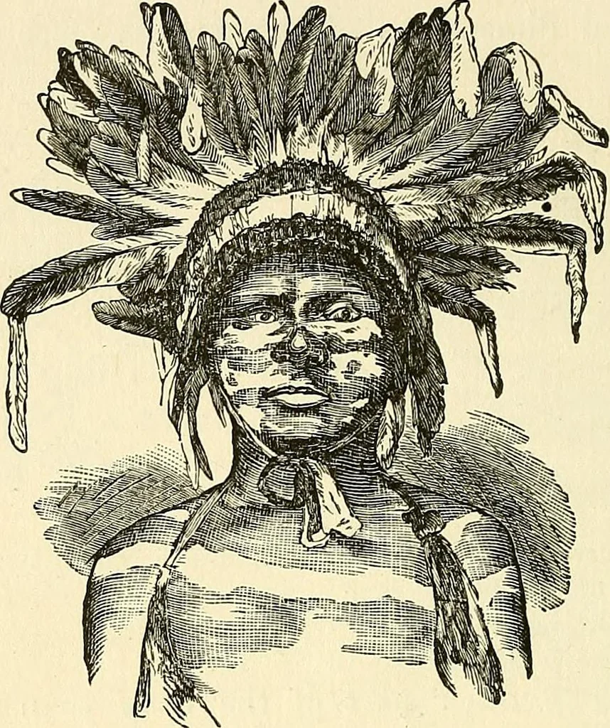 An illustration from Nature's revelations of character; or, physiognomy illustrated. A description of the mental, moral and volitive dispositions of mankind, as manifested in the human form and countenance, 1879, leaf 207