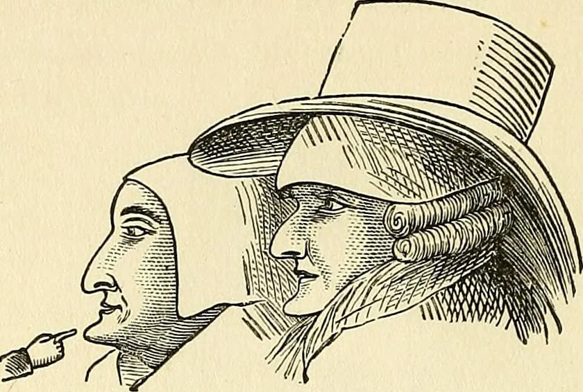 An illustration from Nature's revelations of character; or, physiognomy illustrated. A description of the mental, moral and volitive dispositions of mankind, as manifested in the human form and countenance, 1879, leaf 213