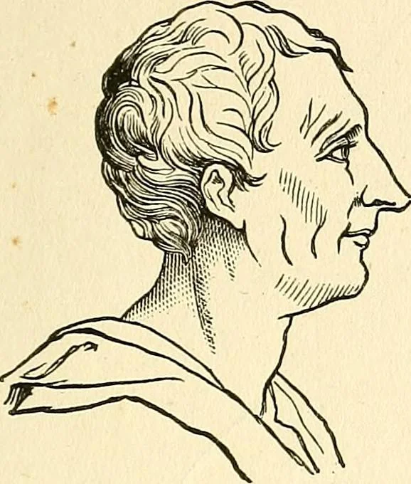 An illustration from Nature's revelations of character; or, physiognomy illustrated. A description of the mental, moral and volitive dispositions of mankind, as manifested in the human form and countenance, 1879, leaf 220