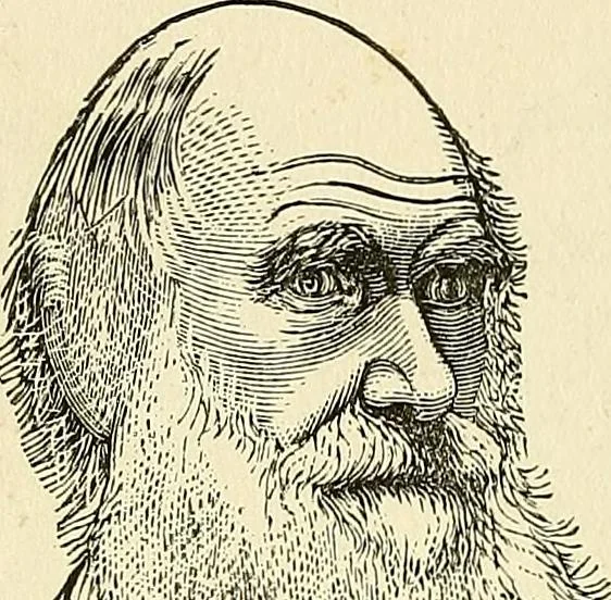 An illustration from Nature's revelations of character; or, physiognomy illustrated. A description of the mental, moral and volitive dispositions of mankind, as manifested in the human form and countenance, 1879, leaf 221