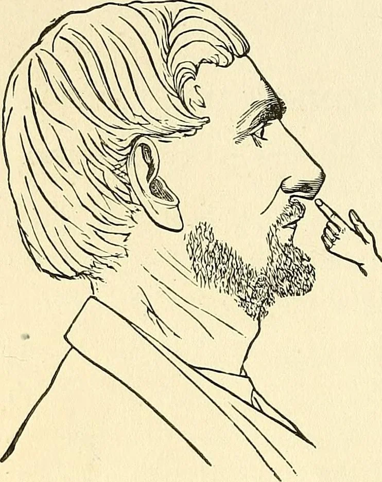 An illustration from Nature's revelations of character; or, physiognomy illustrated. A description of the mental, moral and volitive dispositions of mankind, as manifested in the human form and countenance, 1879, leaf 227