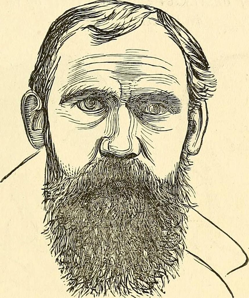 An illustration from Nature's revelations of character; or, physiognomy illustrated. A description of the mental, moral and volitive dispositions of mankind, as manifested in the human form and countenance, 1879, leaf 232