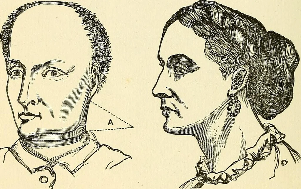 An illustration from Nature's revelations of character; or, physiognomy illustrated. A description of the mental, moral and volitive dispositions of mankind, as manifested in the human form and countenance, 1879, leaf 233