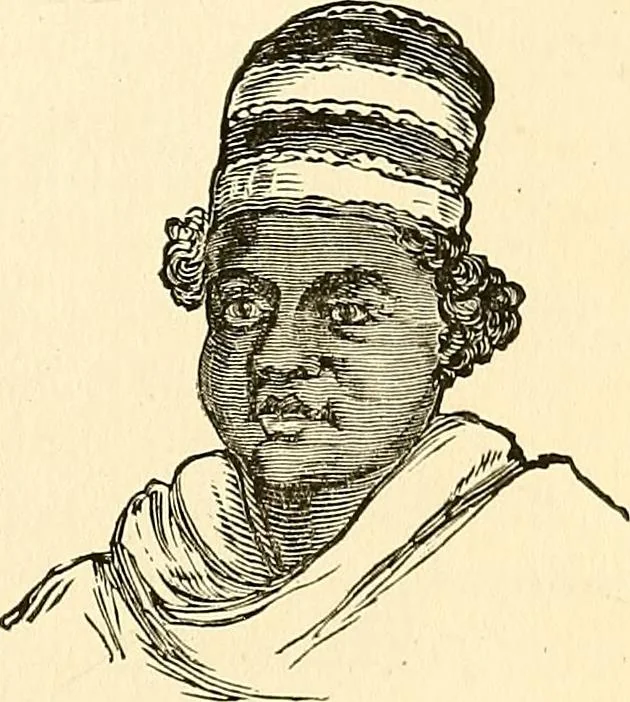 An illustration from Nature's revelations of character; or, physiognomy illustrated. A description of the mental, moral and volitive dispositions of mankind, as manifested in the human form and countenance, 1879, leaf 238