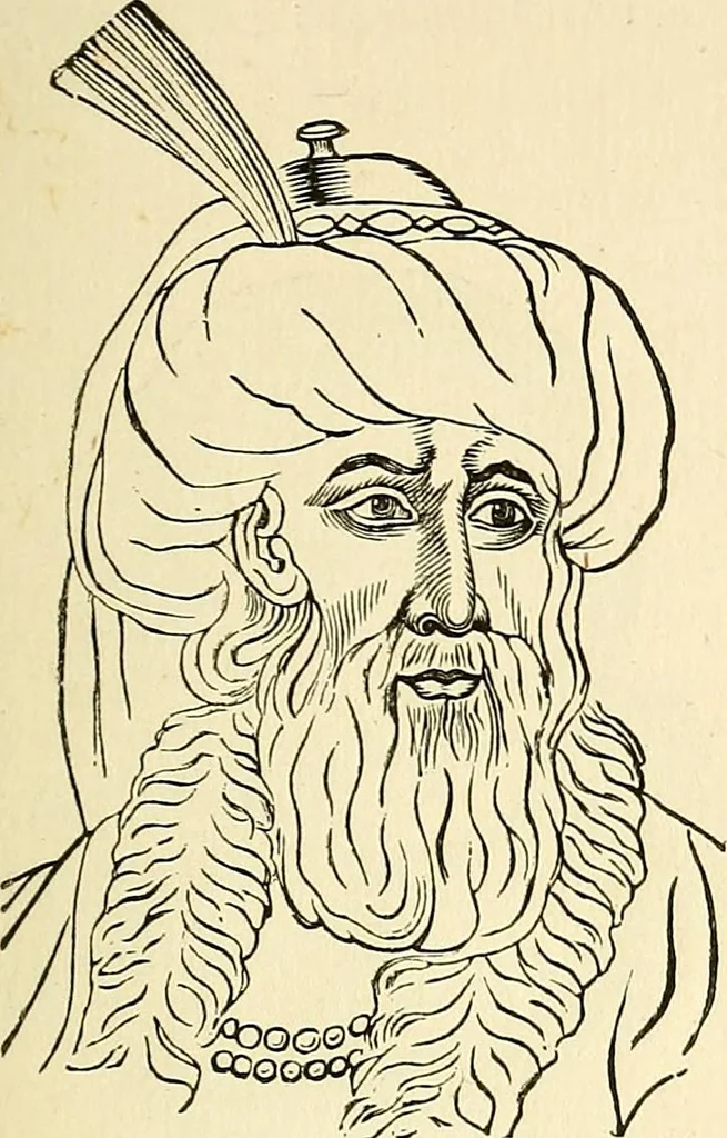 An illustration from Nature's revelations of character; or, physiognomy illustrated. A description of the mental, moral and volitive dispositions of mankind, as manifested in the human form and countenance, 1879, leaf 248