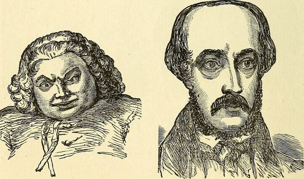 An illustration from Nature's revelations of character; or, physiognomy illustrated. A description of the mental, moral and volitive dispositions of mankind, as manifested in the human form and countenance, 1879, leaf 251