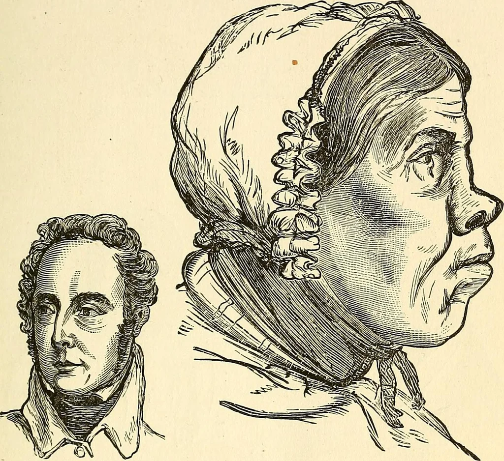 An illustration from Nature's revelations of character; or, physiognomy illustrated. A description of the mental, moral and volitive dispositions of mankind, as manifested in the human form and countenance, 1879, leaf 256