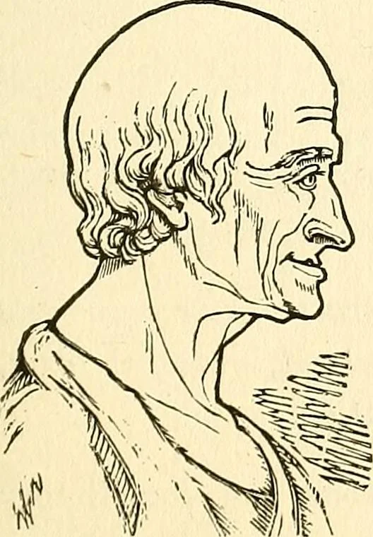 An illustration from Nature's revelations of character; or, physiognomy illustrated. A description of the mental, moral and volitive dispositions of mankind, as manifested in the human form and countenance, 1879, leaf 264