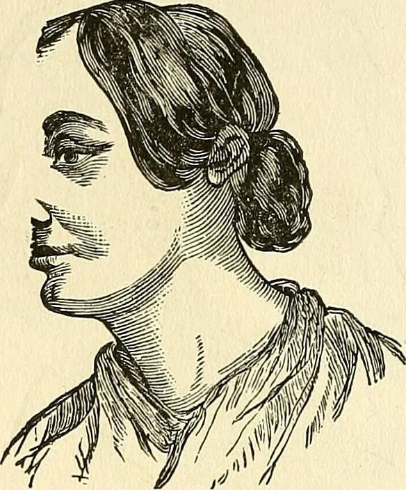 An illustration from Nature's revelations of character; or, physiognomy illustrated. A description of the mental, moral and volitive dispositions of mankind, as manifested in the human form and countenance, 1879, leaf 267