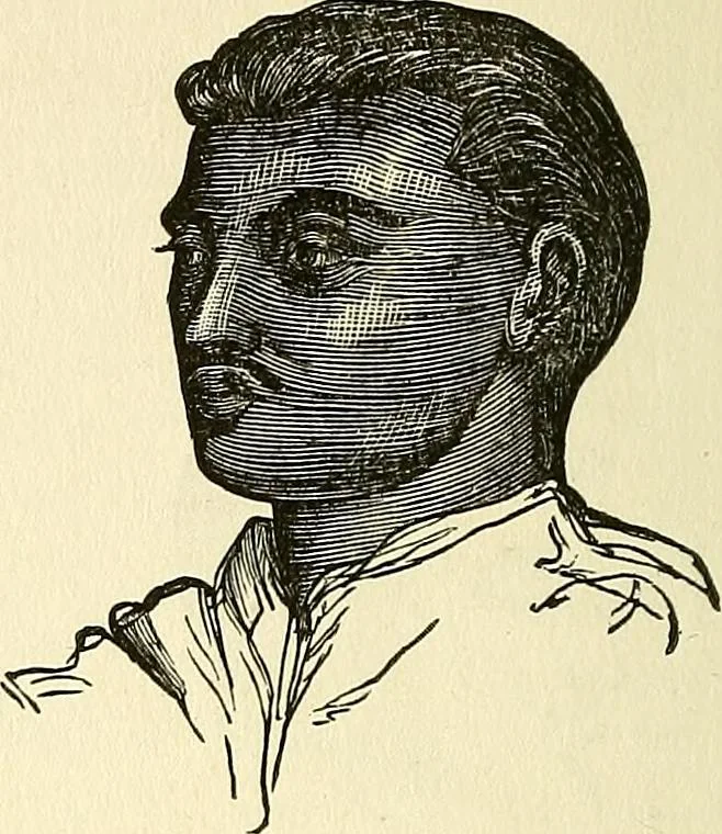 An illustration from Nature's revelations of character; or, physiognomy illustrated. A description of the mental, moral and volitive dispositions of mankind, as manifested in the human form and countenance, 1879, leaf 267