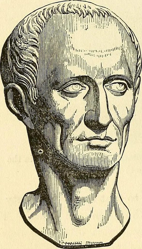 An illustration from Nature's revelations of character; or, physiognomy illustrated. A description of the mental, moral and volitive dispositions of mankind, as manifested in the human form and countenance, 1879, leaf 271