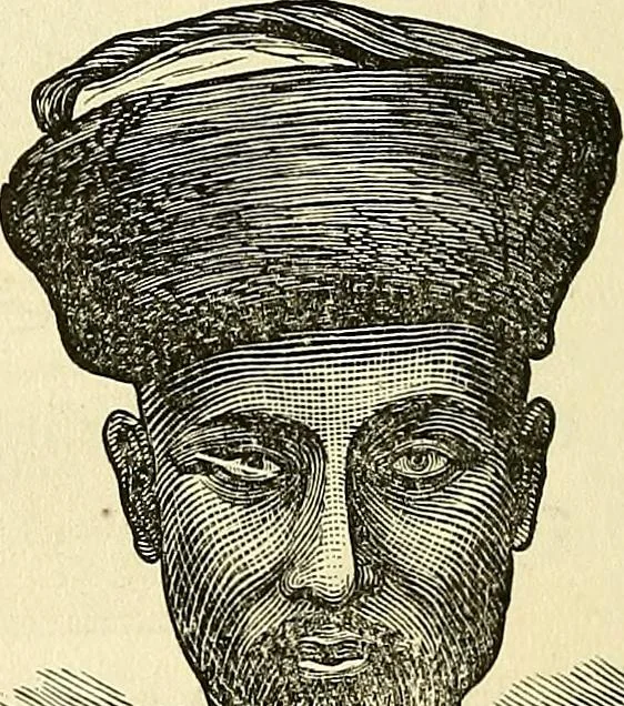 An illustration from Nature's revelations of character; or, physiognomy illustrated. A description of the mental, moral and volitive dispositions of mankind, as manifested in the human form and countenance, 1879, leaf 271