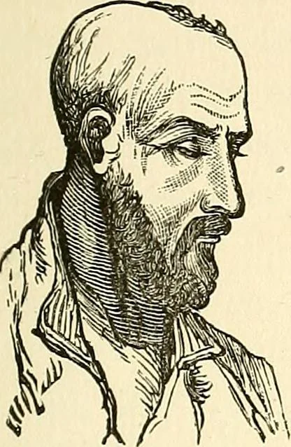 An illustration from Nature's revelations of character; or, physiognomy illustrated. A description of the mental, moral and volitive dispositions of mankind, as manifested in the human form and countenance, 1879, leaf 274