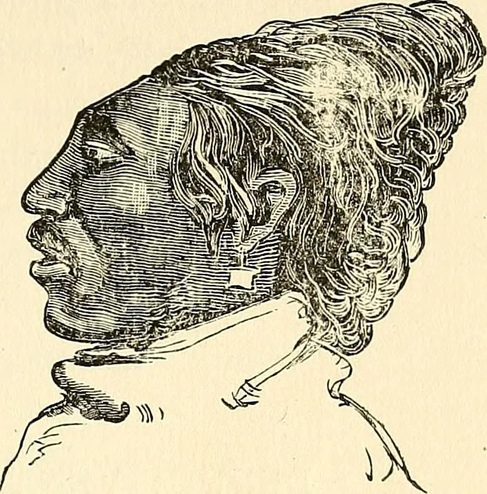 An illustration from Nature's revelations of character; or, physiognomy illustrated. A description of the mental, moral and volitive dispositions of mankind, as manifested in the human form and countenance, 1879, leaf 274