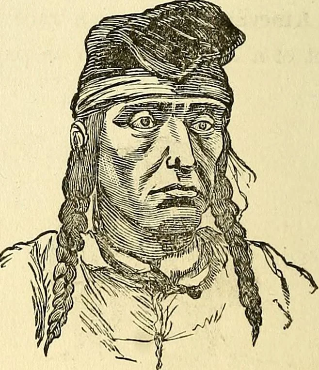 An illustration from Nature's revelations of character; or, physiognomy illustrated. A description of the mental, moral and volitive dispositions of mankind, as manifested in the human form and countenance, 1879, leaf 279