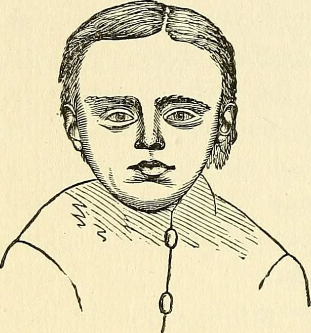 An illustration from Nature's revelations of character; or, physiognomy illustrated. A description of the mental, moral and volitive dispositions of mankind, as manifested in the human form and countenance, 1879, leaf 311
