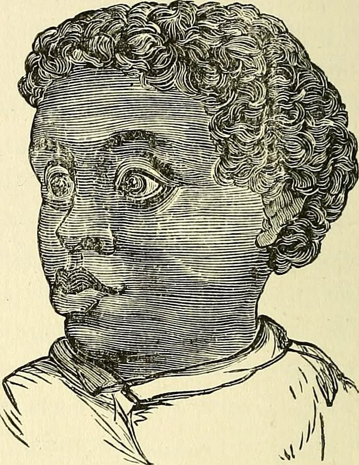 An illustration from Nature's revelations of character; or, physiognomy illustrated. A description of the mental, moral and volitive dispositions of mankind, as manifested in the human form and countenance, 1879, leaf 311