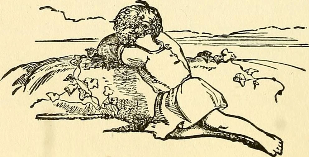 An illustration from Nature's revelations of character; or, physiognomy illustrated. A description of the mental, moral and volitive dispositions of mankind, as manifested in the human form and countenance, 1879, leaf 373