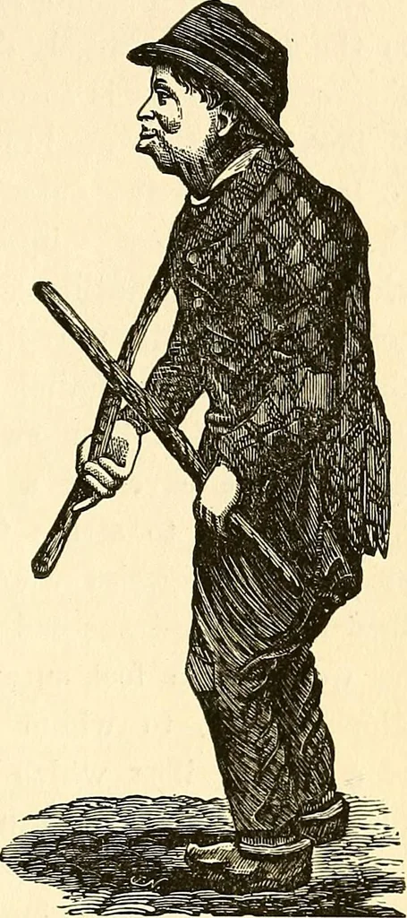 An illustration from Nature's revelations of character; or, physiognomy illustrated. A description of the mental, moral and volitive dispositions of mankind, as manifested in the human form and countenance, 1879, leaf 378