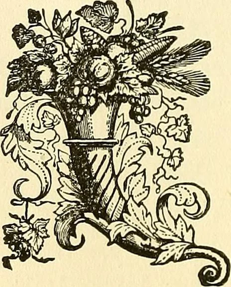 An illustration from Nature's revelations of character; or, physiognomy illustrated. A description of the mental, moral and volitive dispositions of mankind, as manifested in the human form and countenance, 1879, leaf 385