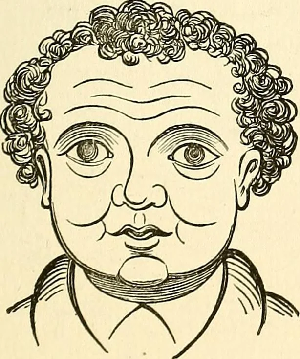 An illustration from Nature's revelations of character; or, physiognomy illustrated. A description of the mental, moral and volitive dispositions of mankind, as manifested in the human form and countenance, 1879, leaf 388
